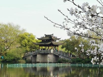Spring at a park in China