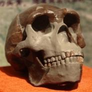 paleolithic prehistory of China