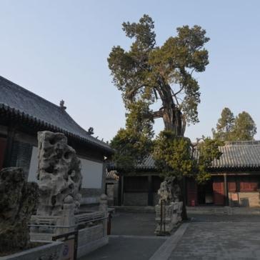 courtyard at the Confucius Family Mansion in Qufu