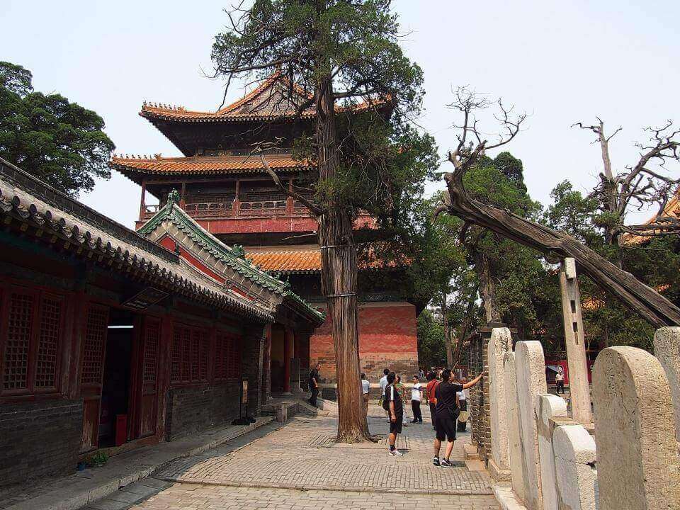 inside one of the courtyards of the Confucius Temple in Qufu